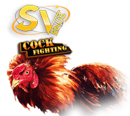 sv388 PATI29