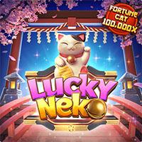 neko PATI29
