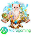 microgaming PATI29